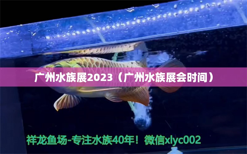 廣州水族展2023（廣州水族展會時間）