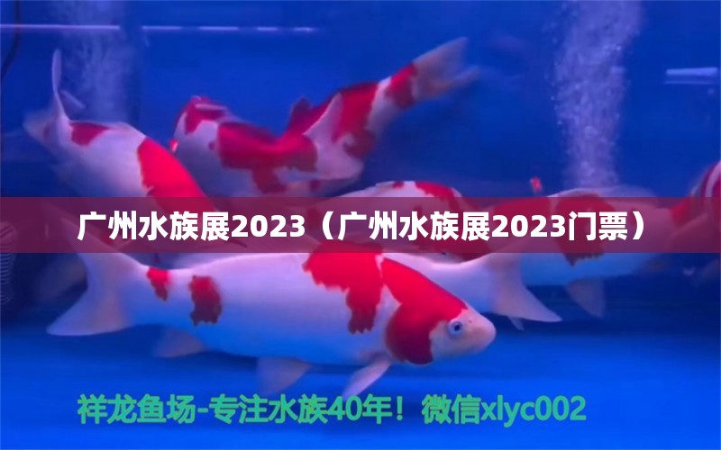 廣州水族展2023（廣州水族展2023門票）