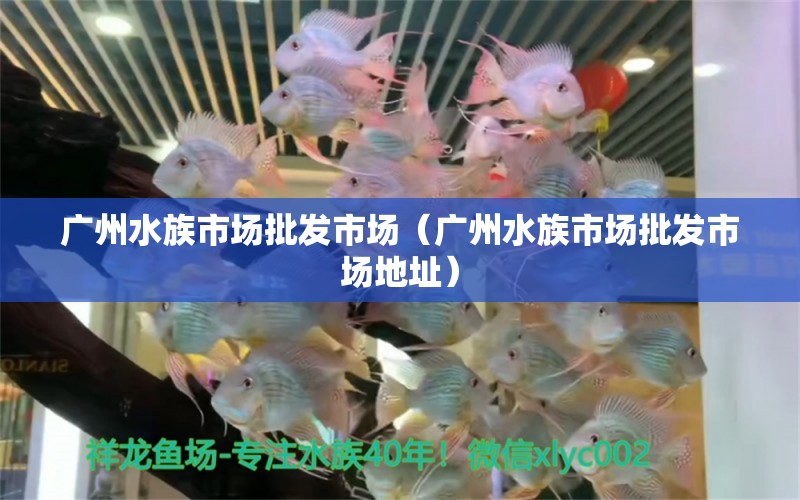 廣州水族市場(chǎng)批發(fā)市場(chǎng)（廣州水族市場(chǎng)批發(fā)市場(chǎng)地址）