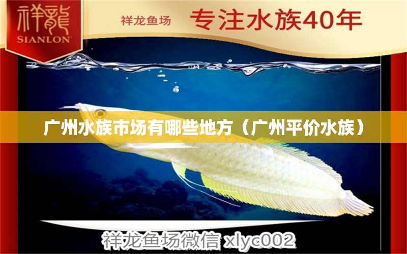 廣州水族市場有哪些地方（廣州平價水族）