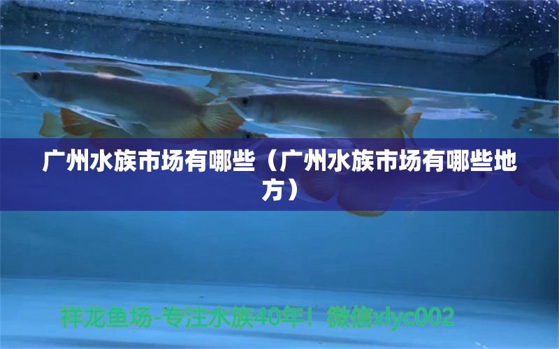 廣州水族市場有哪些（廣州水族市場有哪些地方） 廣州水族批發(fā)市場