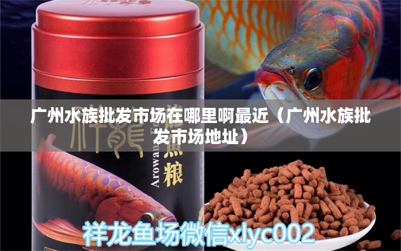 廣州水族批發(fā)市場在哪里啊最近（廣州水族批發(fā)市場地址）