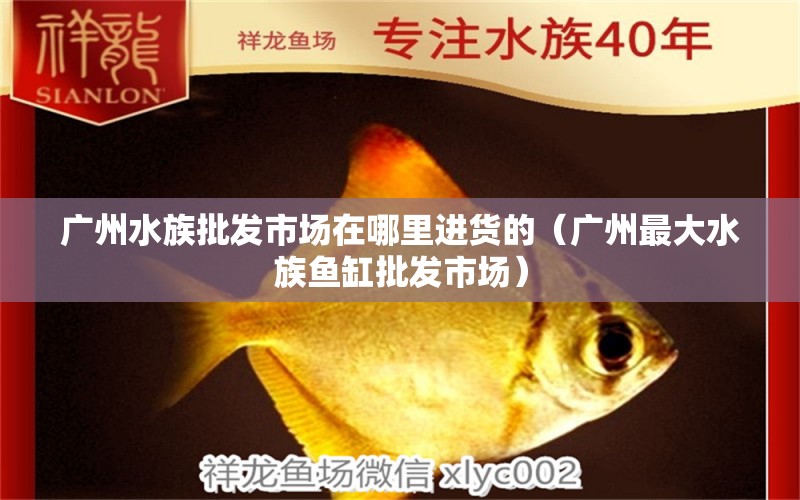 廣州水族批發(fā)市場(chǎng)在哪里進(jìn)貨的（廣州最大水族魚(yú)缸批發(fā)市場(chǎng)）