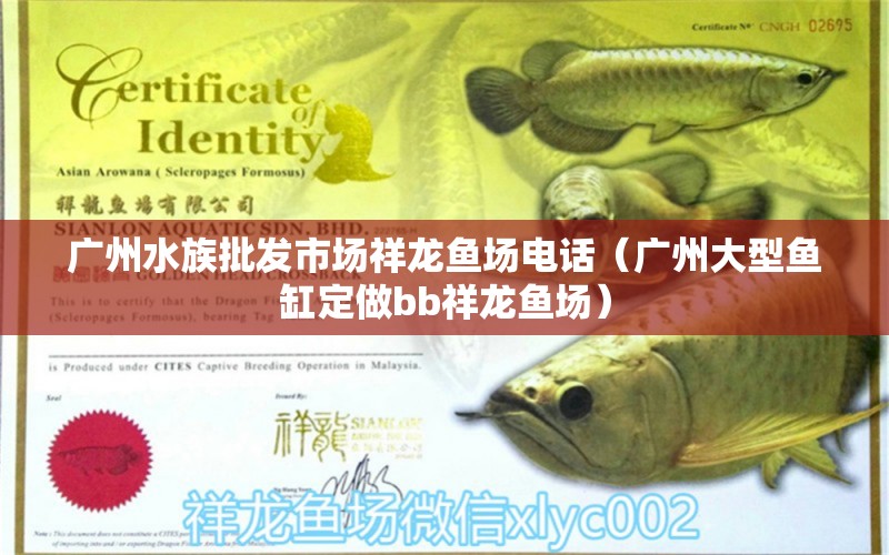 廣州水族批發(fā)市場祥龍魚場電話（廣州大型魚缸定做bb祥龍魚場）