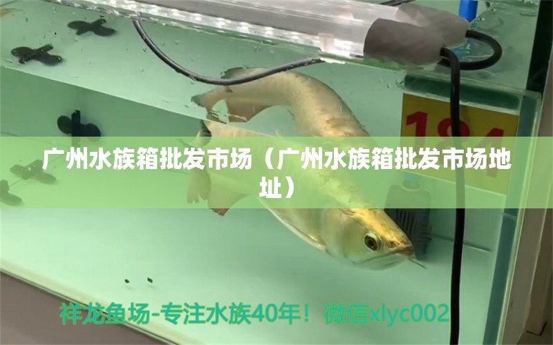 廣州水族箱批發(fā)市場(chǎng)（廣州水族箱批發(fā)市場(chǎng)地址）