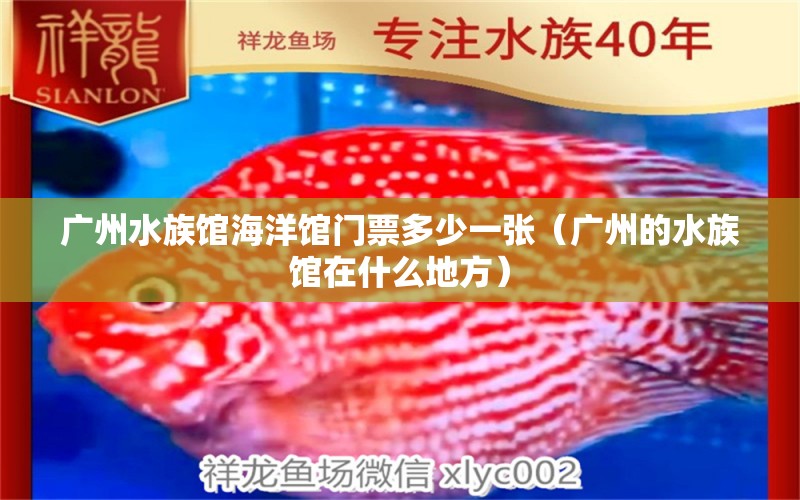 廣州水族館海洋館門票多少一張（廣州的水族館在什么地方）