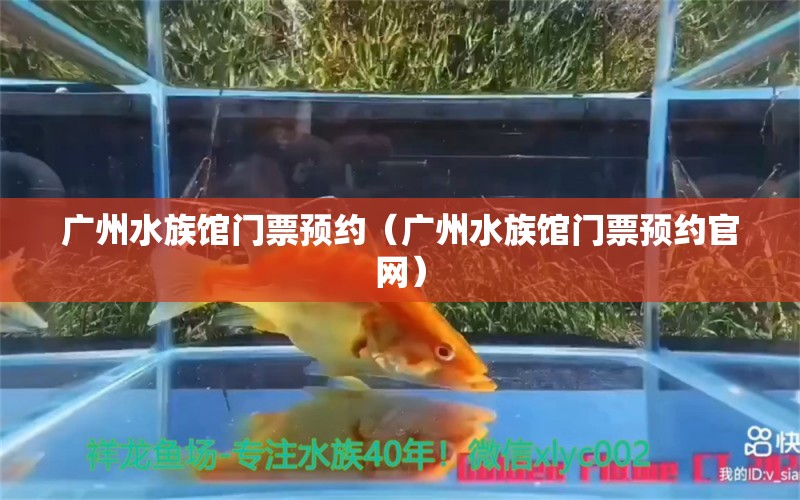 廣州水族館門票預(yù)約（廣州水族館門票預(yù)約官網(wǎng)） 廣州水族批發(fā)市場(chǎng)