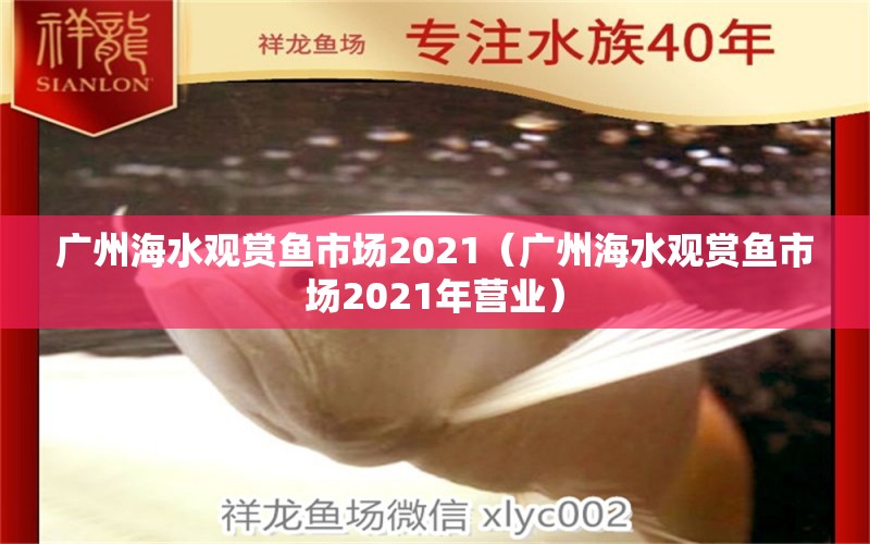 廣州海水觀賞魚市場(chǎng)2021（廣州海水觀賞魚市場(chǎng)2021年?duì)I業(yè)）