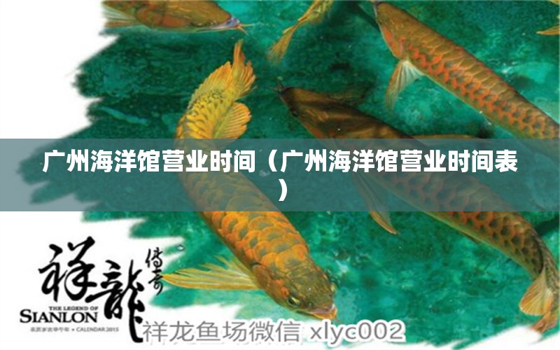 廣州海洋館營業(yè)時間（廣州海洋館營業(yè)時間表）