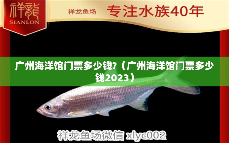 廣州海洋館門票多少錢?（廣州海洋館門票多少錢2023） 廣州水族批發(fā)市場