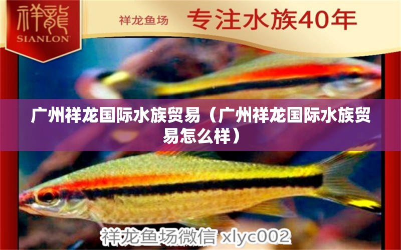 廣州祥龍國際水族貿(mào)易（廣州祥龍國際水族貿(mào)易怎么樣） 廣州祥龍國際水族貿(mào)易