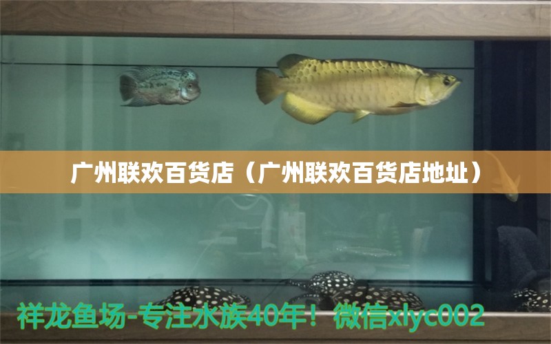 廣州聯(lián)歡百貨店（廣州聯(lián)歡百貨店地址） 全國水族館企業(yè)名錄