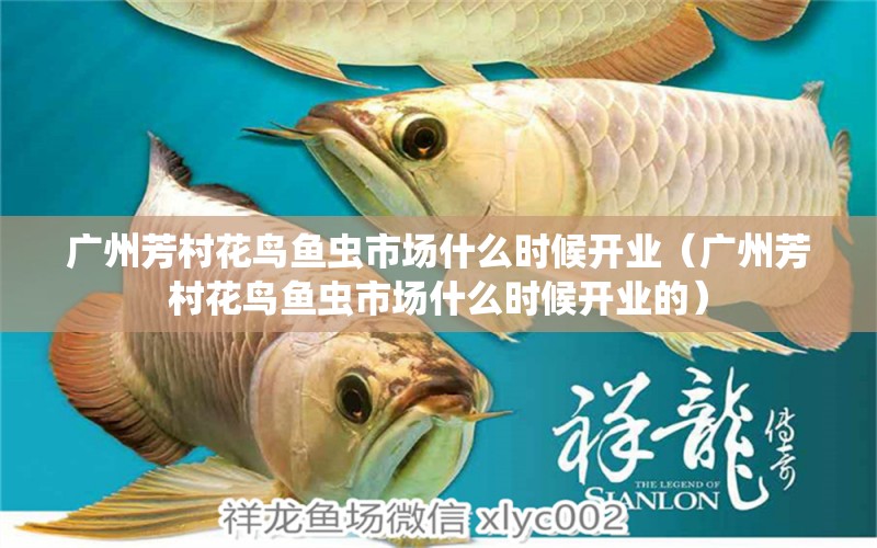 廣州芳村花鳥魚蟲市場(chǎng)什么時(shí)候開業(yè)（廣州芳村花鳥魚蟲市場(chǎng)什么時(shí)候開業(yè)的）