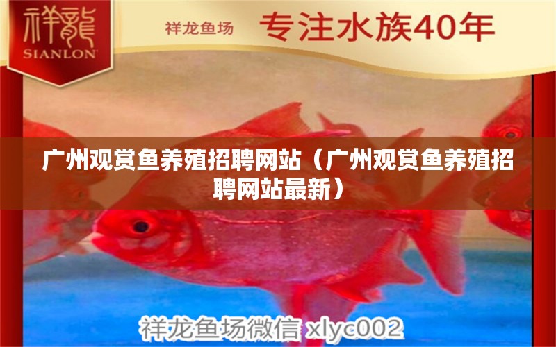 廣州觀賞魚養(yǎng)殖招聘網(wǎng)站（廣州觀賞魚養(yǎng)殖招聘網(wǎng)站最新）