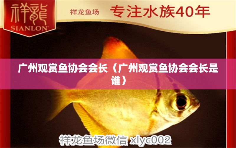 廣州觀賞魚協(xié)會(huì)會(huì)長（廣州觀賞魚協(xié)會(huì)會(huì)長是誰）