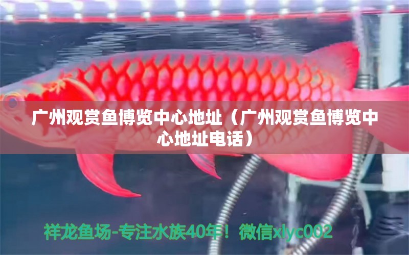 廣州觀賞魚博覽中心地址（廣州觀賞魚博覽中心地址電話） 廣州水族批發(fā)市場