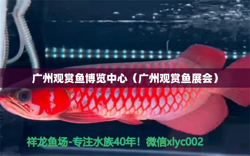 廣州觀賞魚博覽中心（廣州觀賞魚展會）