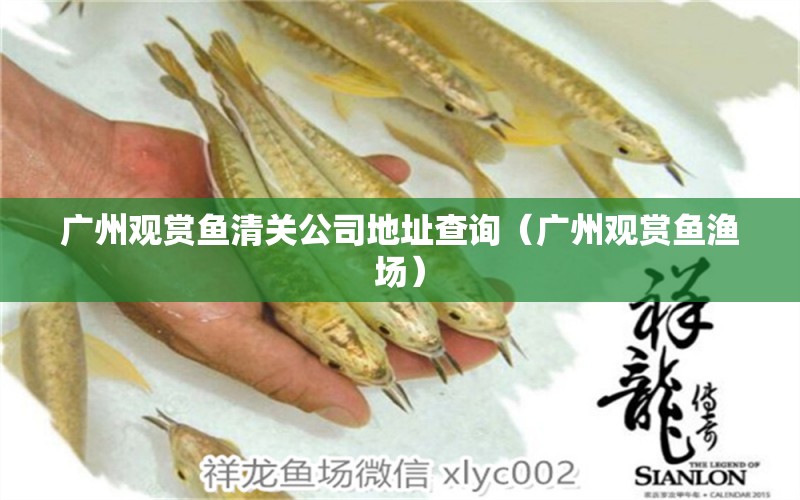 廣州觀賞魚清關(guān)公司地址查詢（廣州觀賞魚漁場）