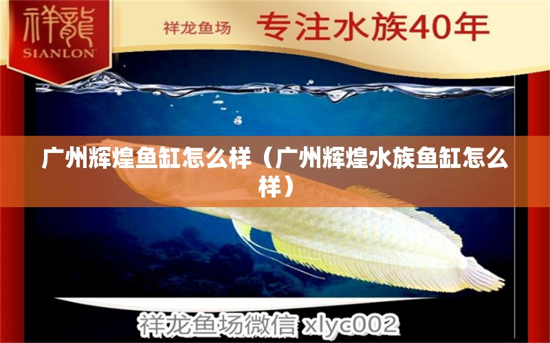 廣州輝煌魚缸怎么樣（廣州輝煌水族魚缸怎么樣） 森森魚缸