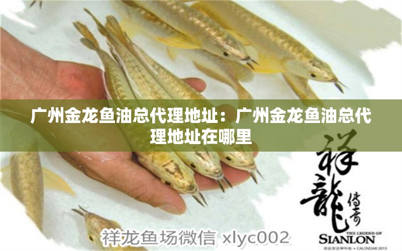 廣州金龍魚油總代理地址：廣州金龍魚油總代理地址在哪里