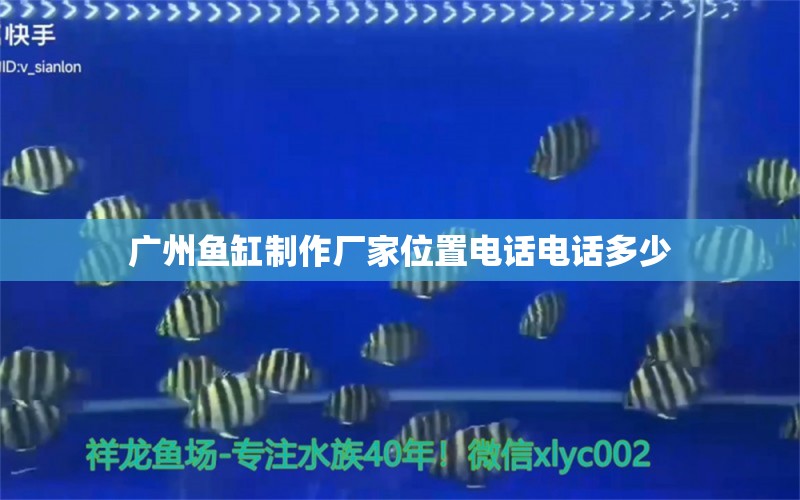 廣州魚缸制作廠家位置電話電話多少 廣州龍魚批發(fā)市場(chǎng)