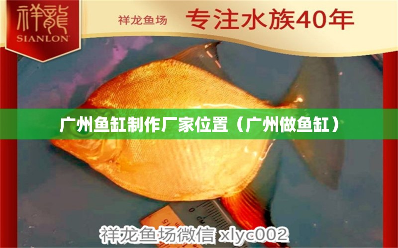 廣州魚缸制作廠家位置（廣州做魚缸）