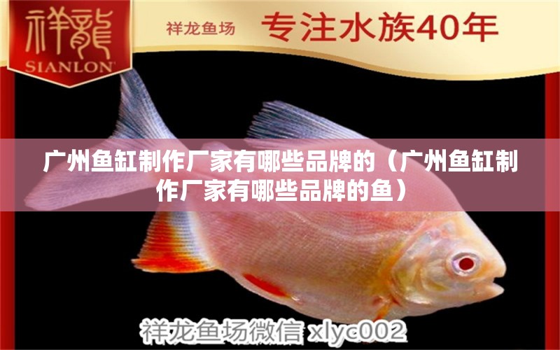 廣州魚缸制作廠家有哪些品牌的（廣州魚缸制作廠家有哪些品牌的魚）