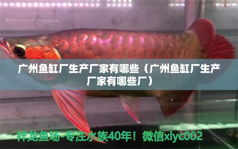 廣州魚缸廠生產(chǎn)廠家有哪些（廣州魚缸廠生產(chǎn)廠家有哪些廠） 虎斑恐龍魚