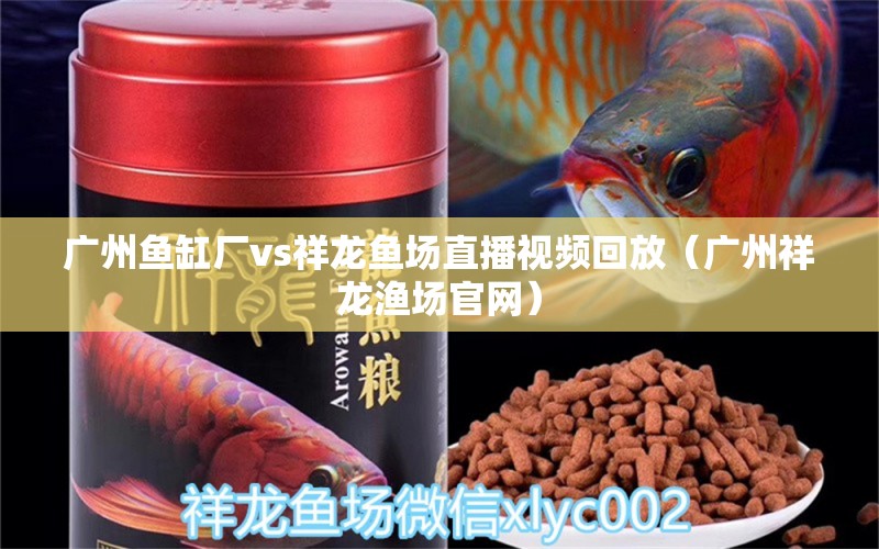 廣州魚缸廠vs祥龍魚場(chǎng)直播視頻回放（廣州祥龍漁場(chǎng)官網(wǎng)） 觀賞魚市場(chǎng)