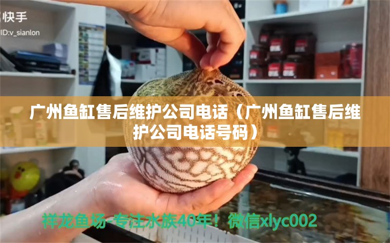 廣州魚(yú)缸售后維護(hù)公司電話(huà)（廣州魚(yú)缸售后維護(hù)公司電話(huà)號(hào)碼） 其他品牌魚(yú)缸