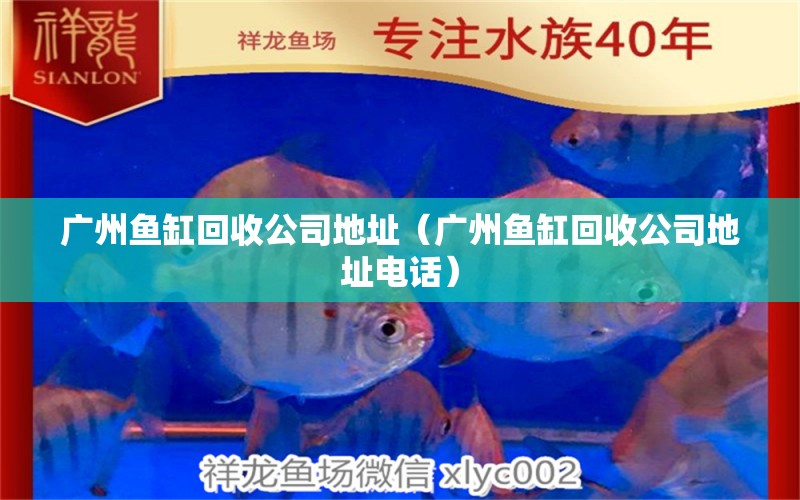 廣州魚缸回收公司地址（廣州魚缸回收公司地址電話） 祥龍水族醫(yī)院