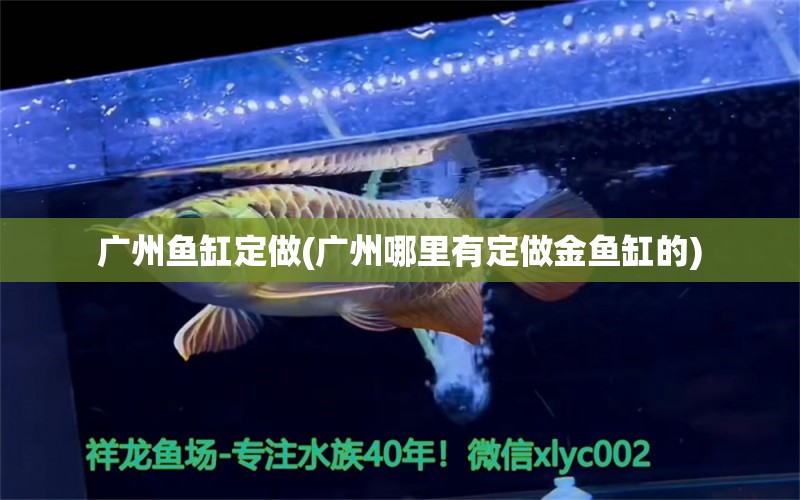 廣州魚缸定做(廣州哪里有定做金魚缸的)