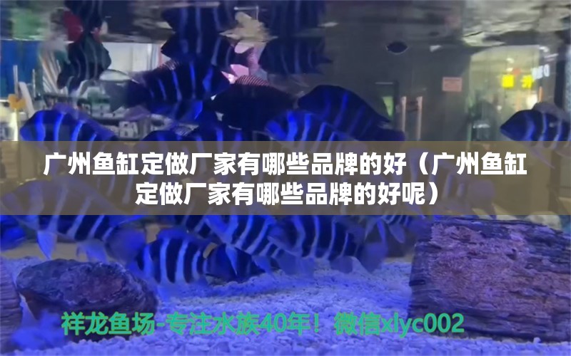 廣州魚缸定做廠家有哪些品牌的好（廣州魚缸定做廠家有哪些品牌的好呢）