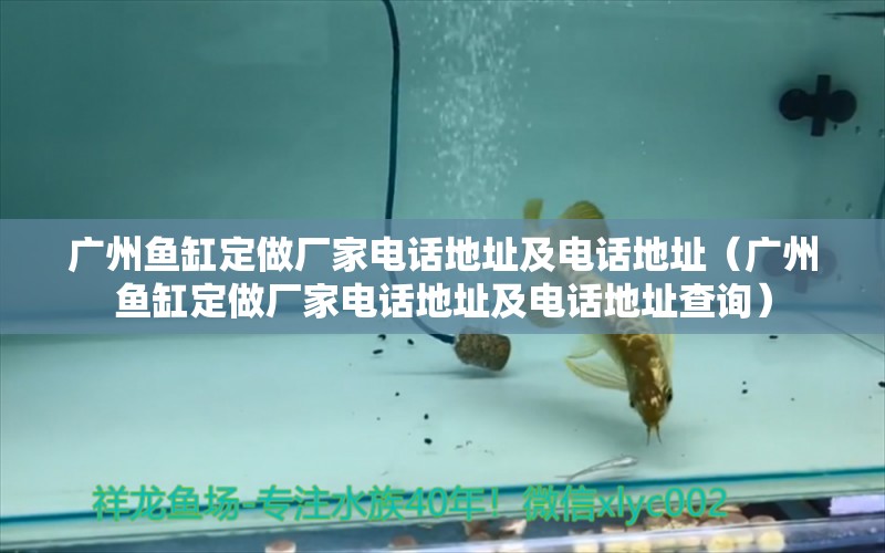 廣州魚缸定做廠家電話地址及電話地址（廣州魚缸定做廠家電話地址及電話地址查詢）