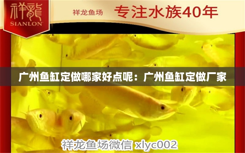 廣州魚缸定做哪家好點(diǎn)呢：廣州魚缸定做廠家 廣州水族批發(fā)市場(chǎng) 第2張