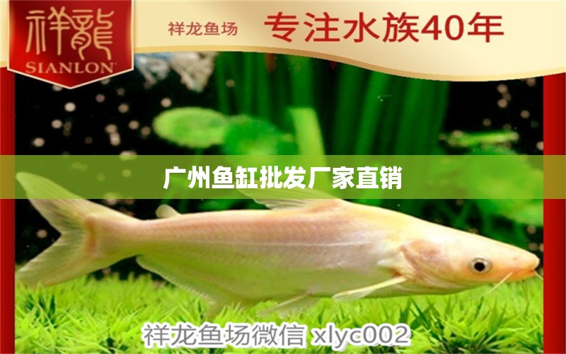 廣州魚(yú)缸批發(fā)廠家直銷(xiāo)