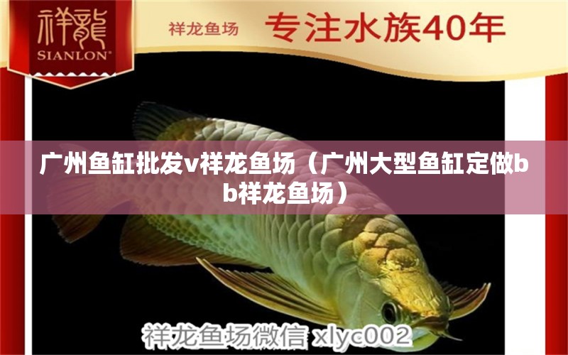 廣州魚(yú)缸批發(fā)v祥龍魚(yú)場(chǎng)（廣州大型魚(yú)缸定做bb祥龍魚(yú)場(chǎng)）