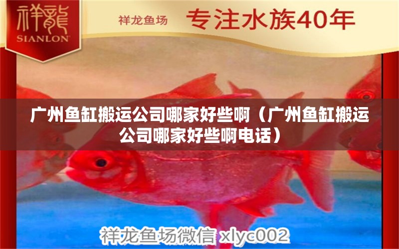 廣州魚缸搬運公司哪家好些?。◤V州魚缸搬運公司哪家好些啊電話）