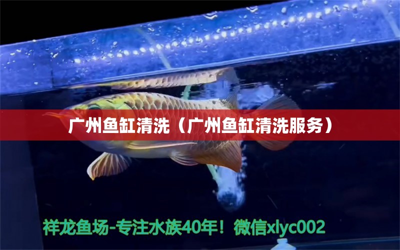 廣州魚缸清洗（廣州魚缸清洗服務(wù)） 其他品牌魚缸