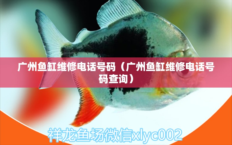 廣州魚缸維修電話號碼（廣州魚缸維修電話號碼查詢）