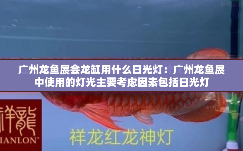 廣州龍魚展會龍缸用什么日光燈：廣州龍魚展中使用的燈光主要考慮因素包括日光燈 水族問答 第2張