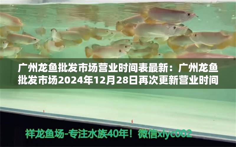 廣州龍魚批發(fā)市場營業(yè)時(shí)間表最新：廣州龍魚批發(fā)市場2024年12月28日再次更新營業(yè)時(shí)間表 龍魚百科 第1張