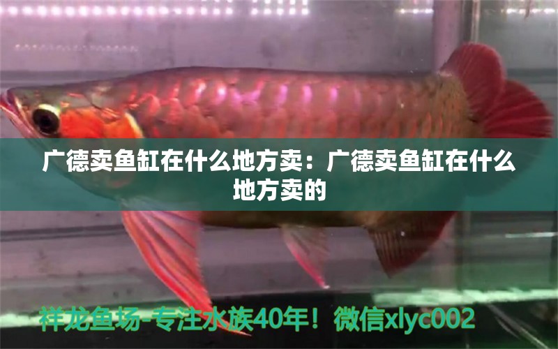 廣德賣魚缸在什么地方賣：廣德賣魚缸在什么地方賣的