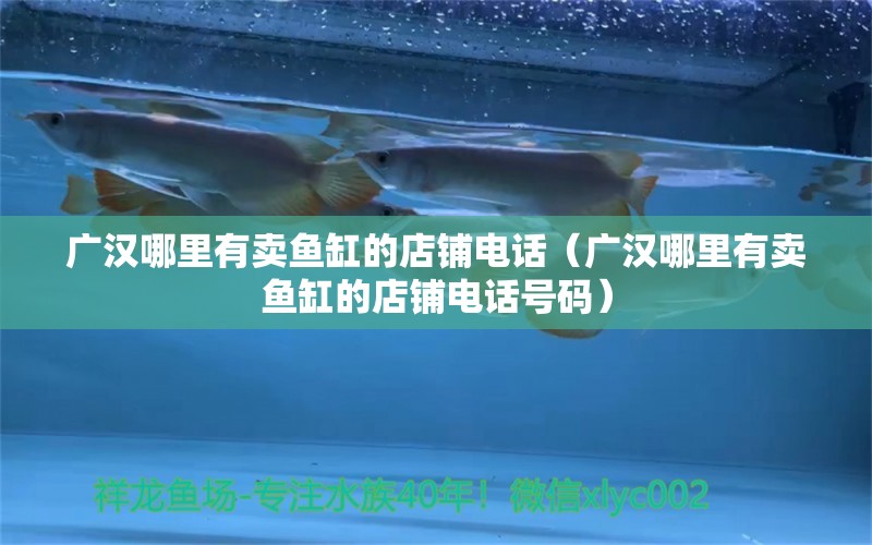 廣漢哪里有賣魚缸的店鋪電話（廣漢哪里有賣魚缸的店鋪電話號碼）