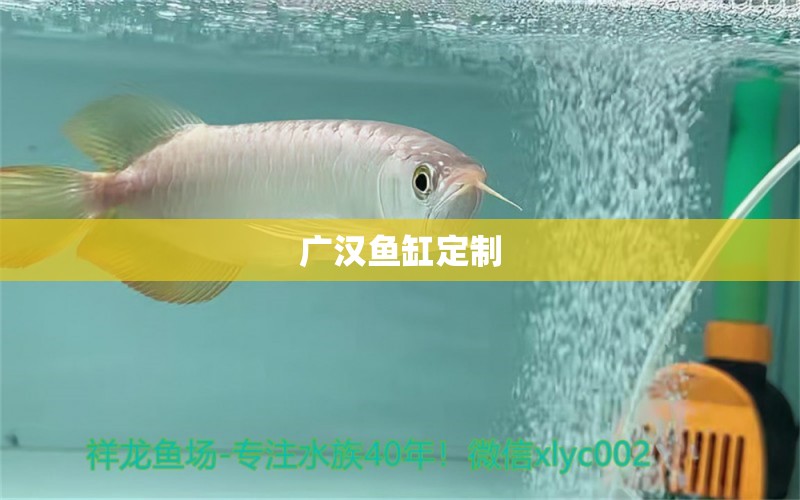 廣漢魚缸定制