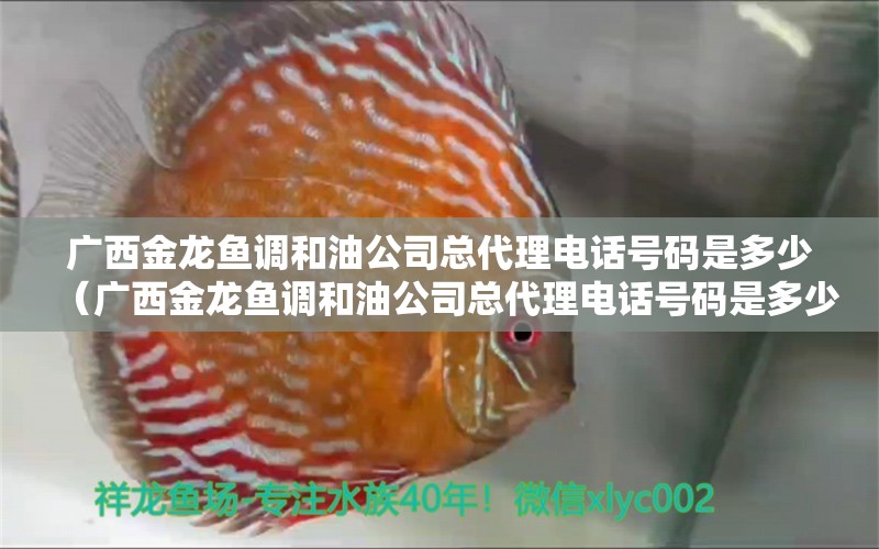 廣西金龍魚調(diào)和油公司總代理電話號碼是多少（廣西金龍魚調(diào)和油公司總代理電話號碼是多少號）