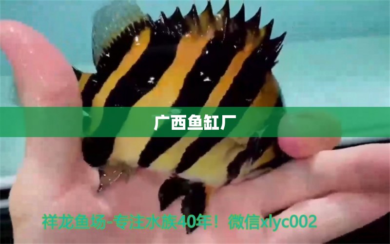 廣西魚缸廠 其他品牌魚缸