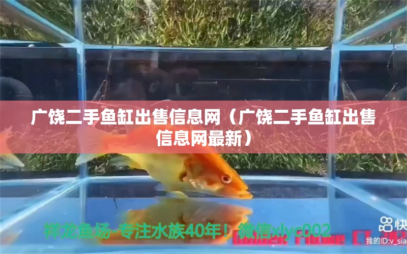 廣饒二手魚(yú)缸出售信息網(wǎng)（廣饒二手魚(yú)缸出售信息網(wǎng)最新）