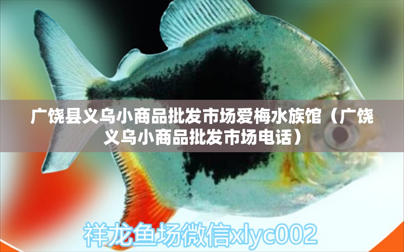 廣饒縣義烏小商品批發(fā)市場(chǎng)愛梅水族館（廣饒義烏小商品批發(fā)市場(chǎng)電話）