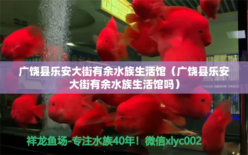 廣饒縣樂(lè)安大街有余水族生活館（廣饒縣樂(lè)安大街有余水族生活館嗎） 全國(guó)水族館企業(yè)名錄